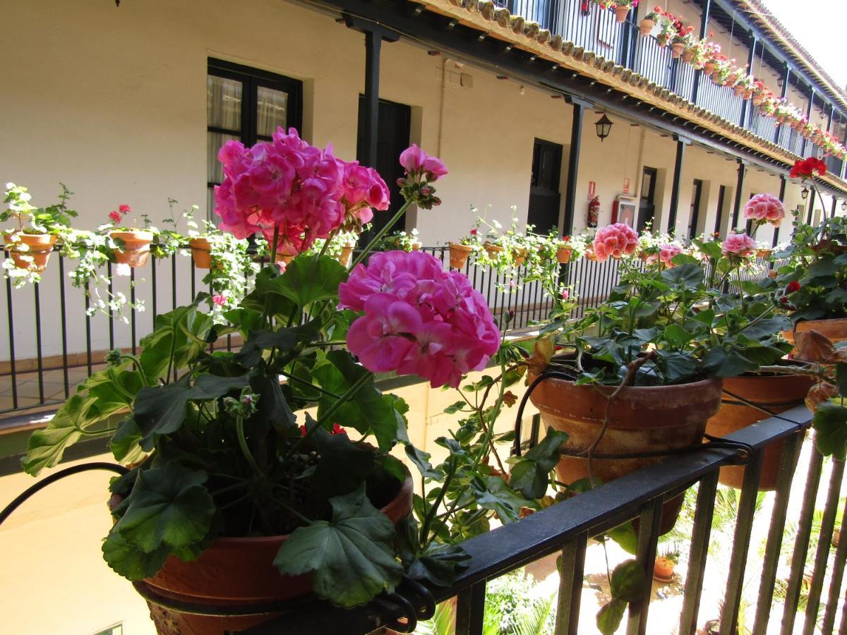 Apartamento Alameda